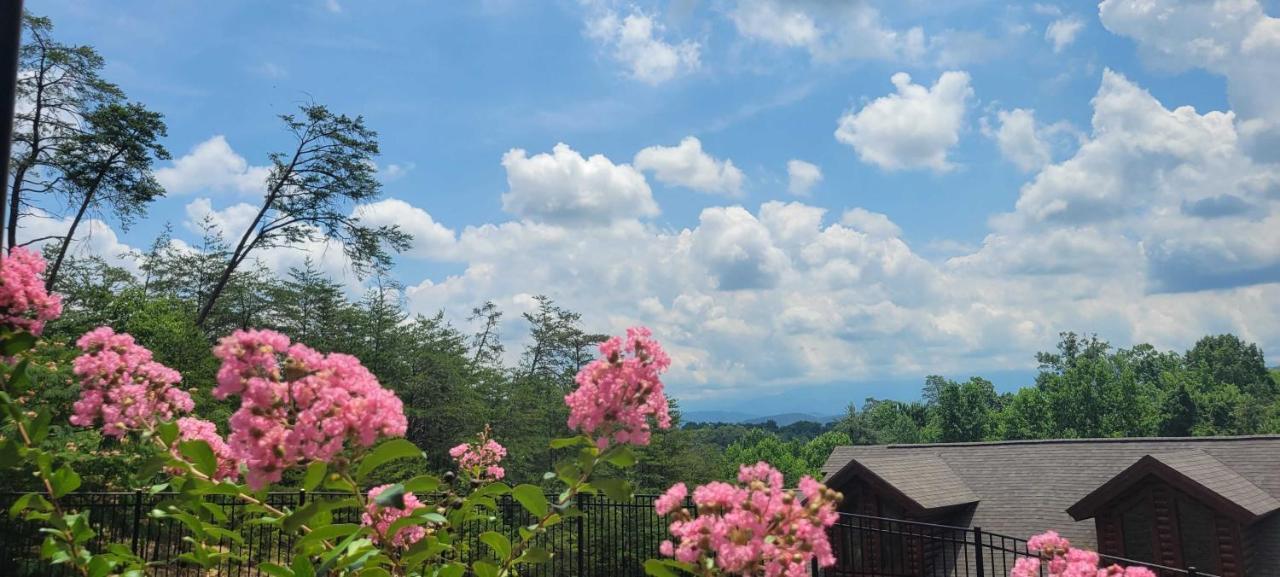 The Bear Paw Palace Mtn View And Community Pools Pigeon Forge Εξωτερικό φωτογραφία