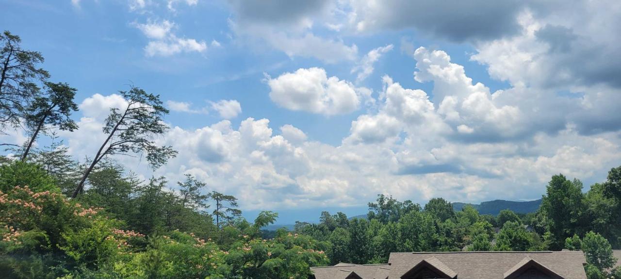The Bear Paw Palace Mtn View And Community Pools Pigeon Forge Εξωτερικό φωτογραφία